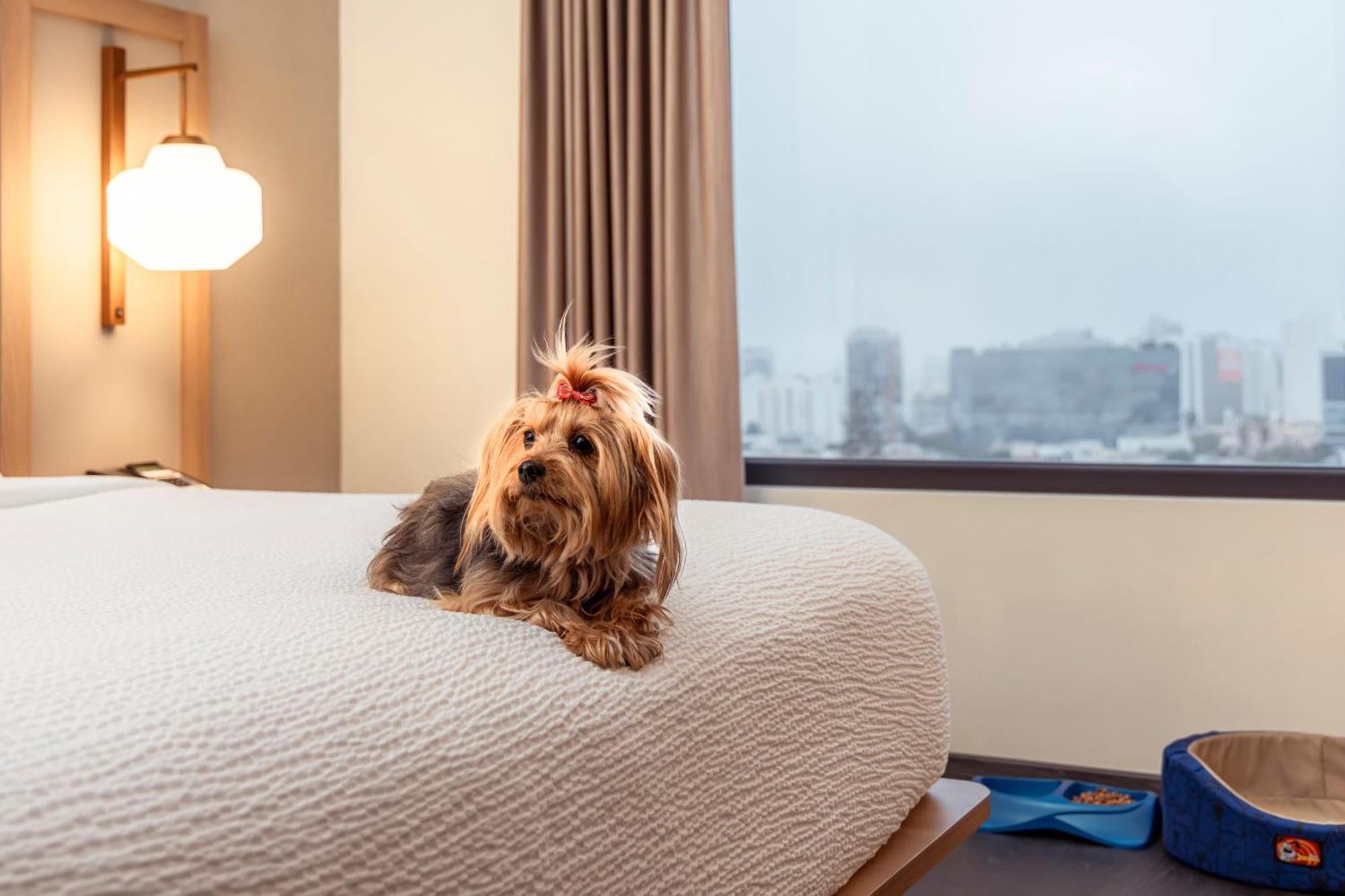 Fairfield By Marriott Lima Miraflores Екстериор снимка